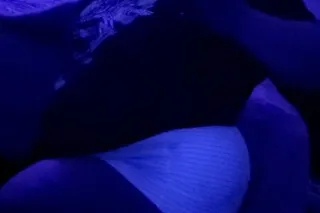 PHAT COOCHIES WINNNN!!! BBW!! ... - Image 4